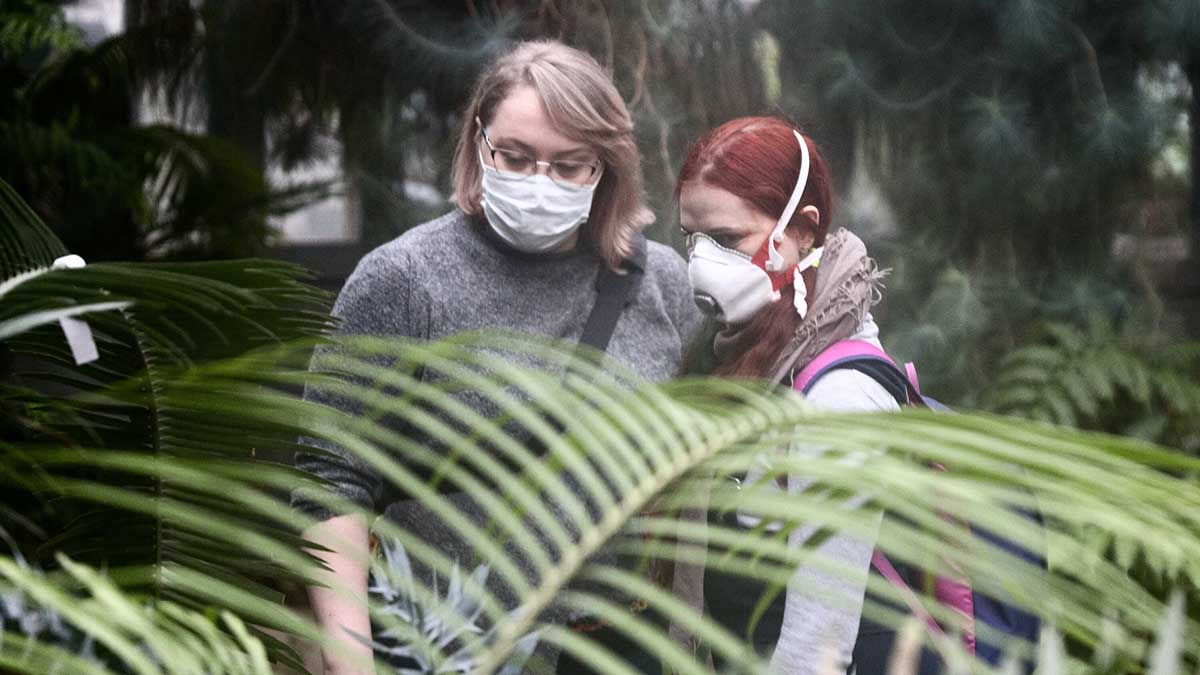 Врачи рассказали, как отличить аллергию от простуды