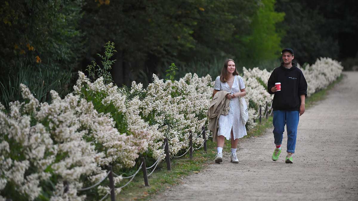 «Аптекарский огород» с 1 мая продлит часы работы до 21:00