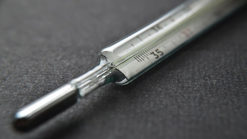 «Признак развития патологии»: врач перечислил первые симптомы кишечной инфекции