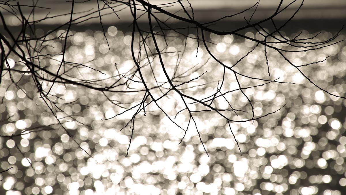 Сумку с телом семилетнего мальчика нашли на дне реки в Ростове-на-Дону