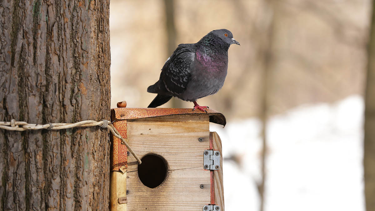 Народные приметы на 7 марта 2026 года