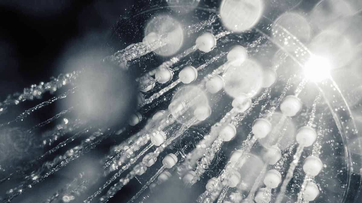 Почему люди отказываются мыться