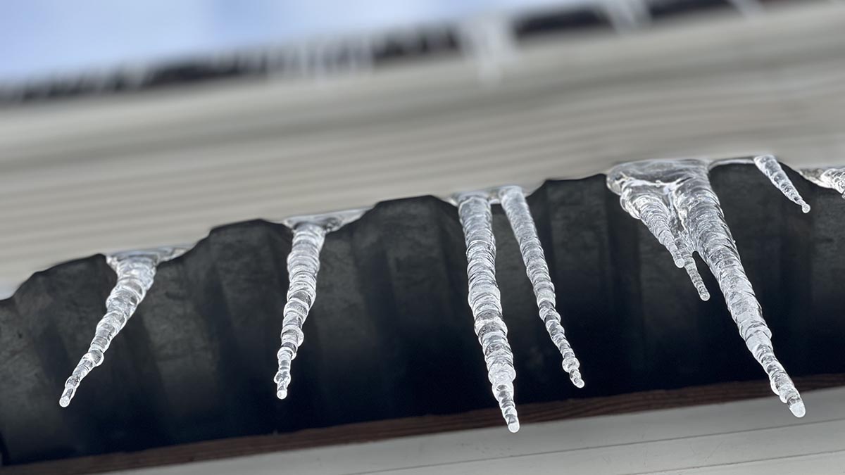 «Оттепель достигла апогея»: назван самый теплый день в Москве с начала зимы