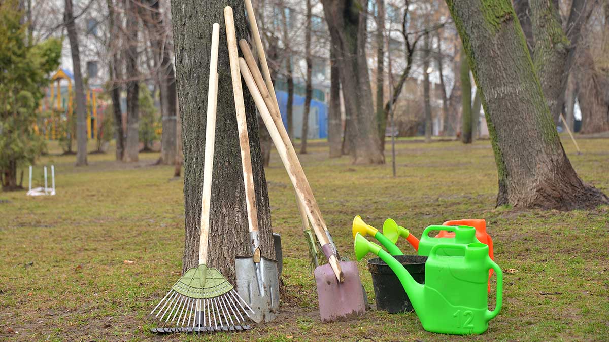 Москвичам рассказали, почему важно ходить на общегородской субботник