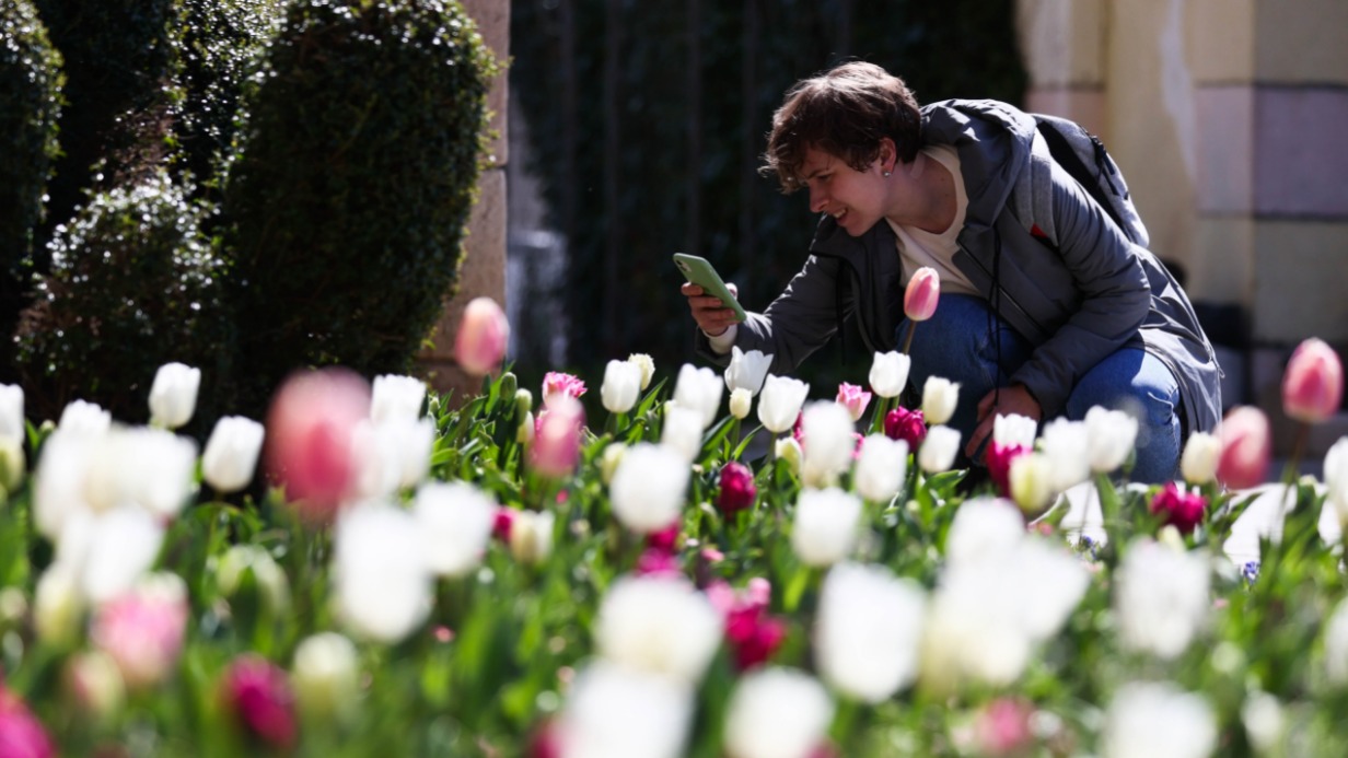 Девушка фотографирует тюльпаны в Никитском ботаническом саду в Крыму