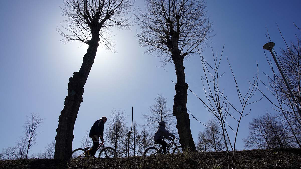 Синоптик пообещал прохладную погоду на майские праздники в центре России