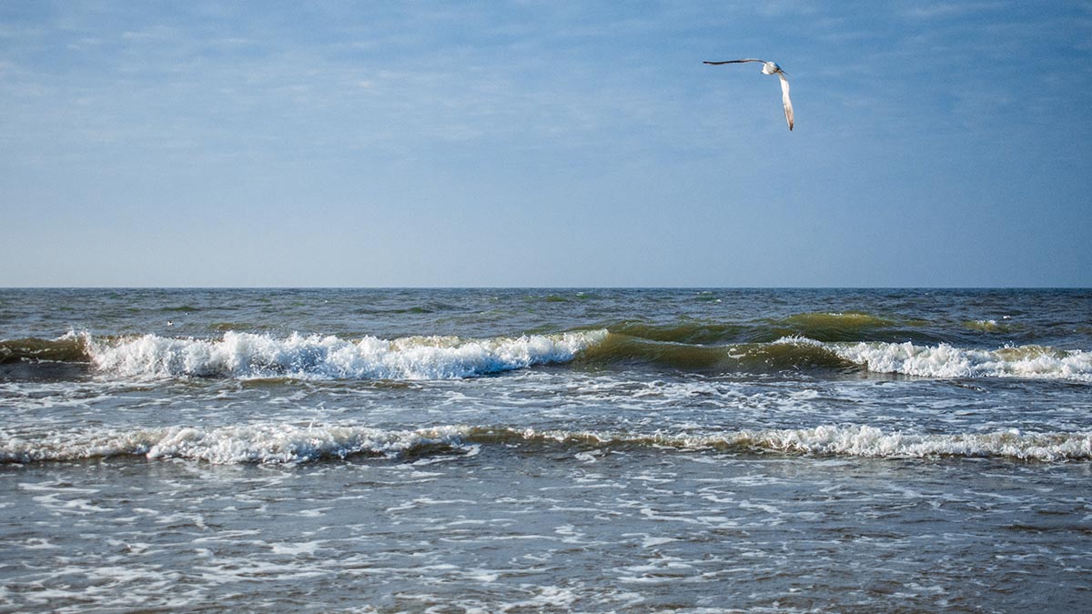 Россияне стали лидерами по покупке жилья на Пхукете