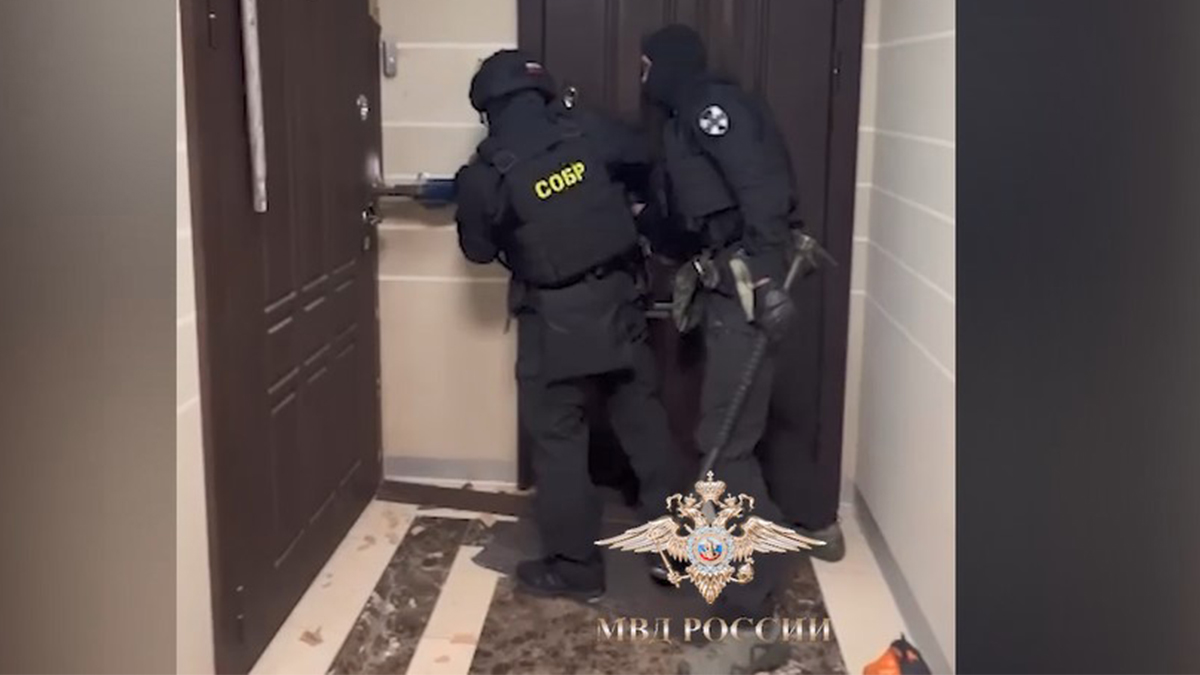 Появилось видео задержания руководителей финансовой пирамиды Finiko