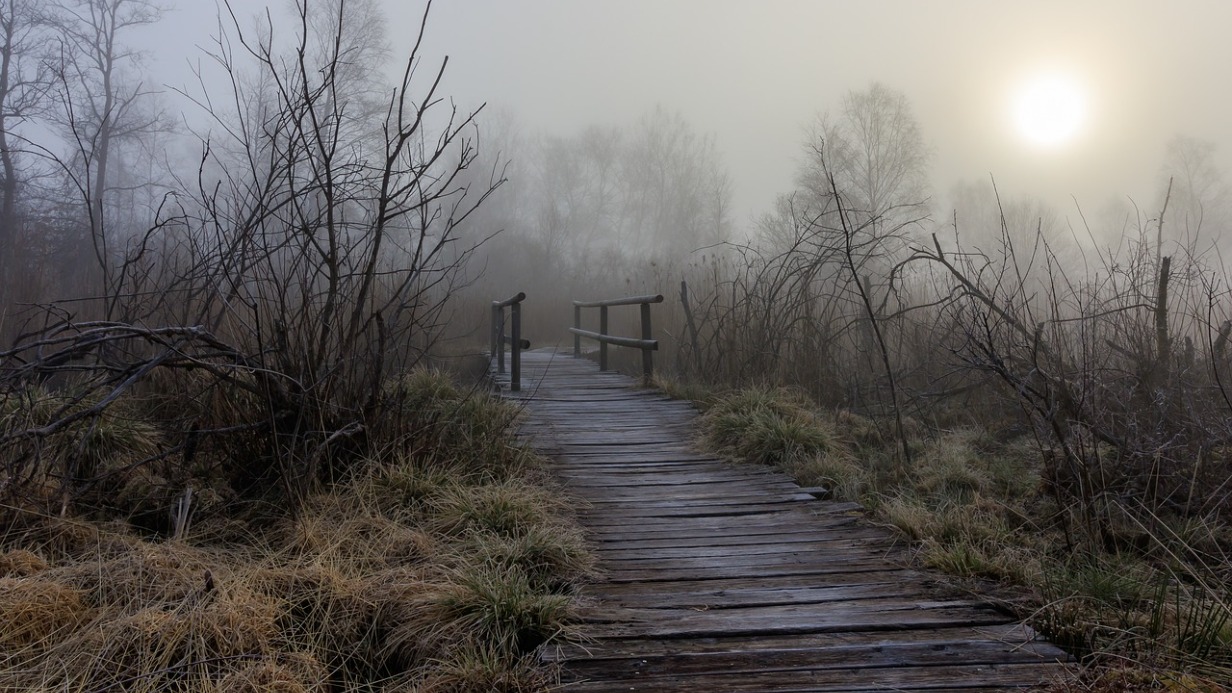 Народный календарь. Почему нельзя ходить на болото 24 августа