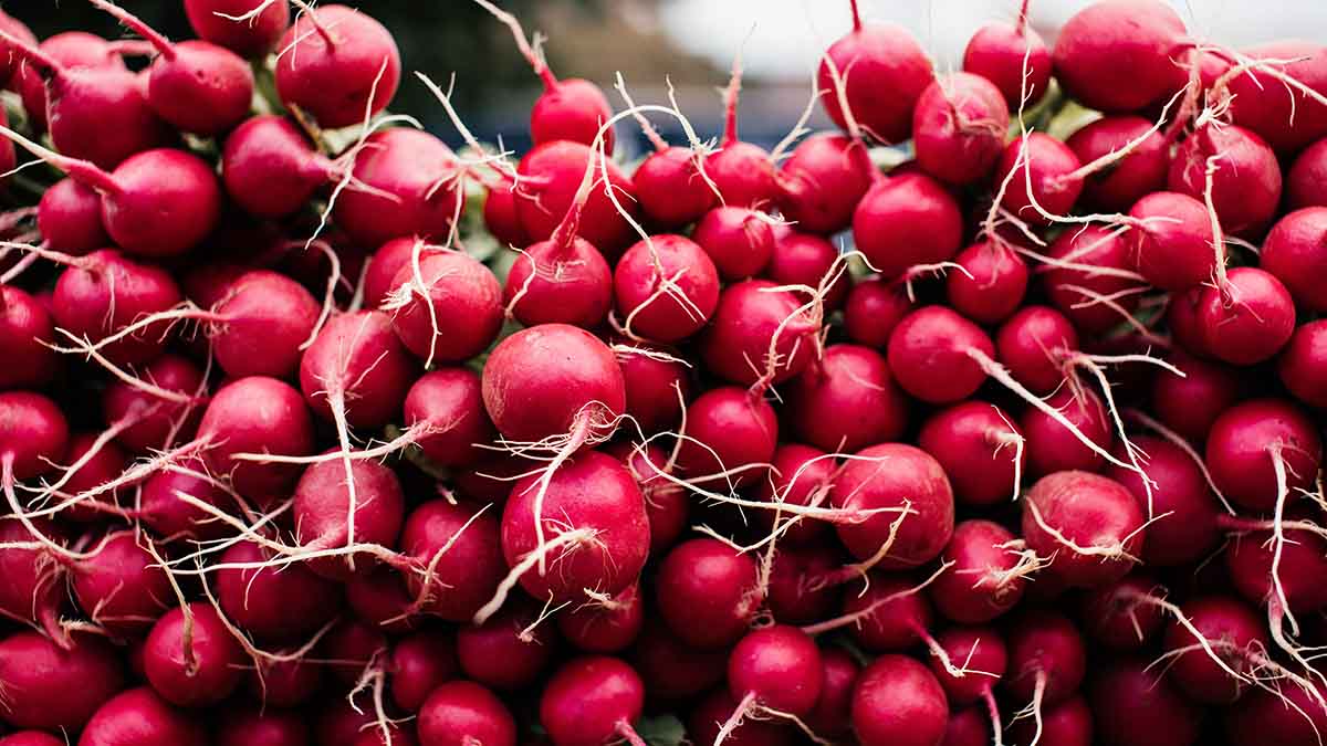 Диетолог рассказала о пользе и вреде редиски