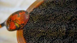 Икорный сомелье рассказал, сколько граммов черной икры можно есть в сутки