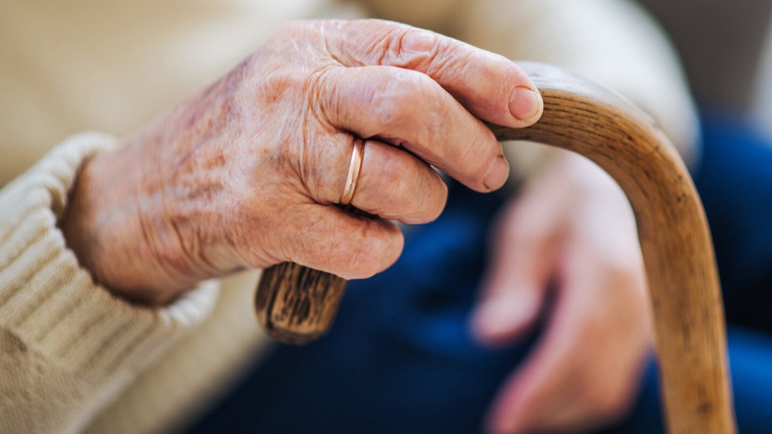 Выпускникам «Школы родственного ухода» открыли бессрочный доступ к обучению