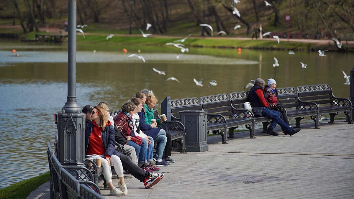 Реконструкцию оранжерейных прудов проведут в музее-заповеднике «Царицыно»