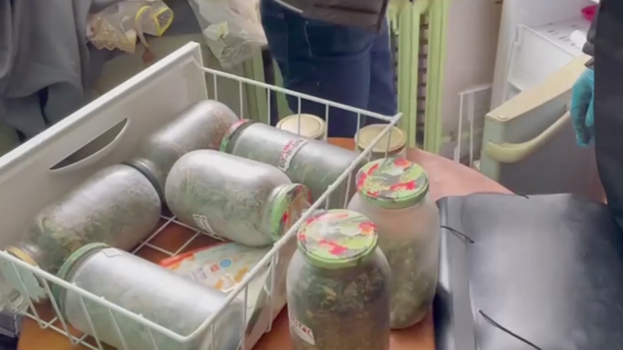 Жителя Подмосковья задержали за выращивание конопли в квартире