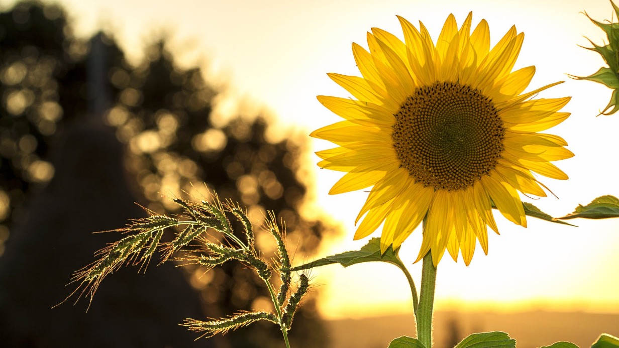 Как правильно защититься от солнца