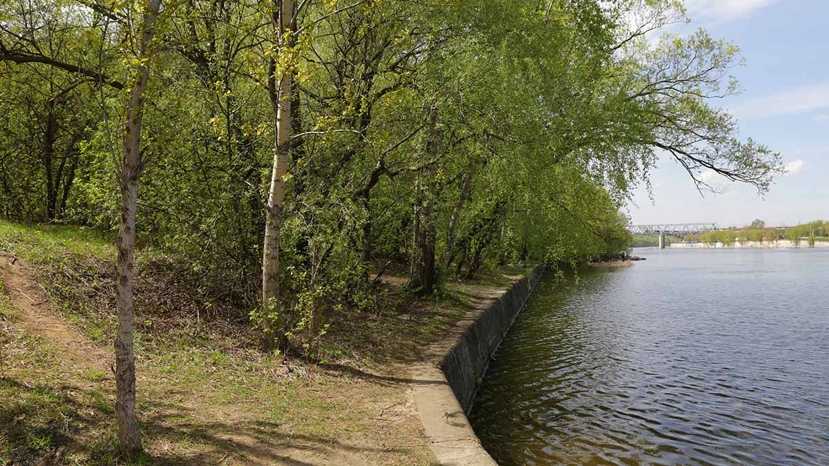Шесть природных водоемов очистят с помощью микроорганизмов в Москве