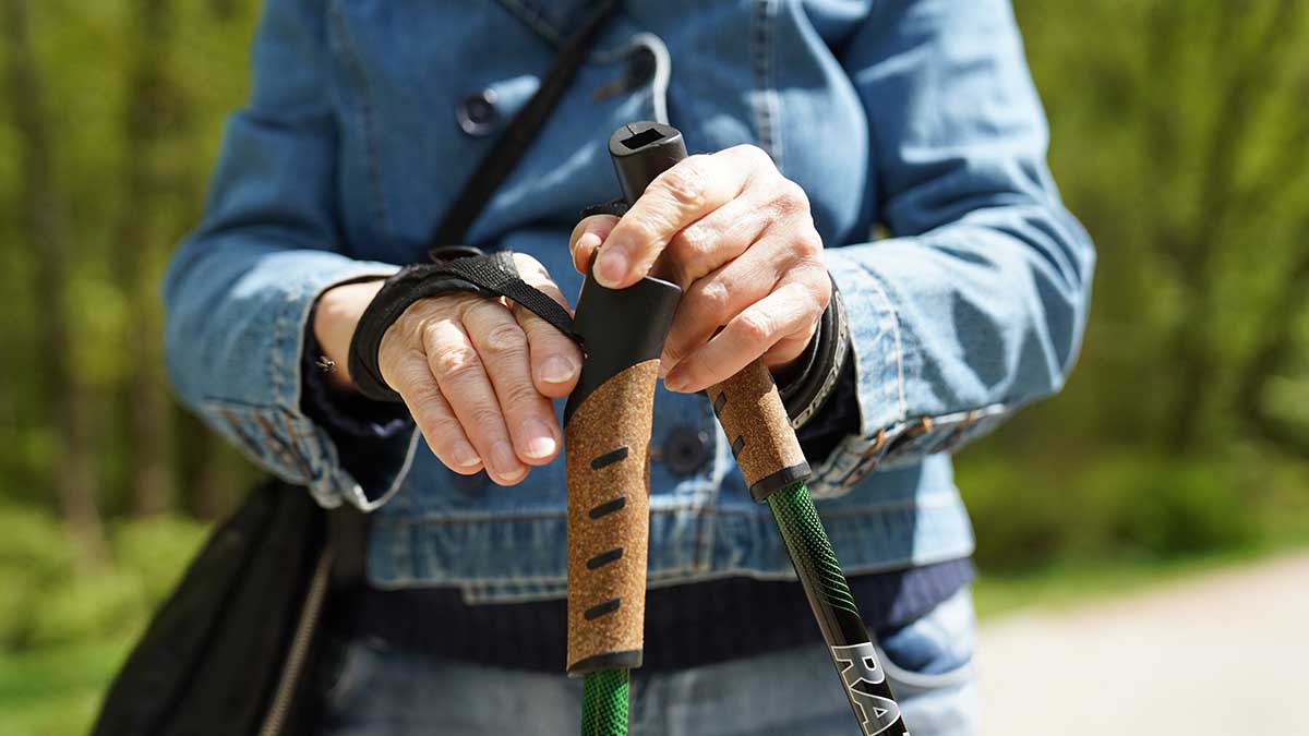 Ракова объявила о старте летнего сезона проекта «Московское долголетие»