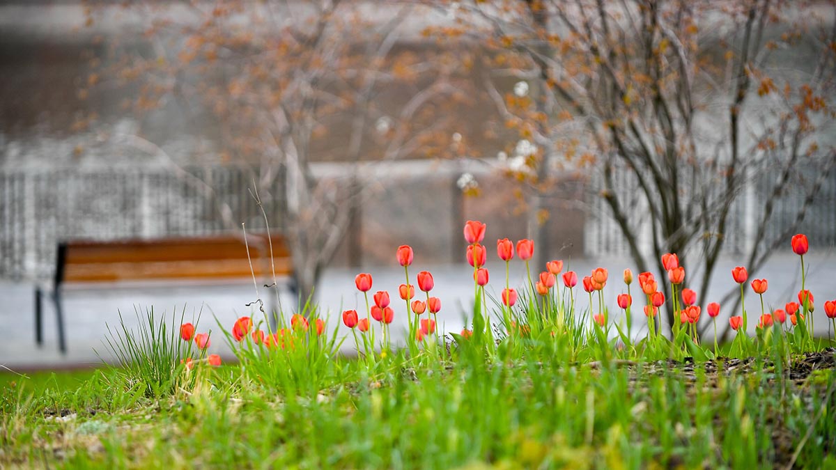 Более 25 гектаров благоустроят и озеленят на обновленных набережных Москвы