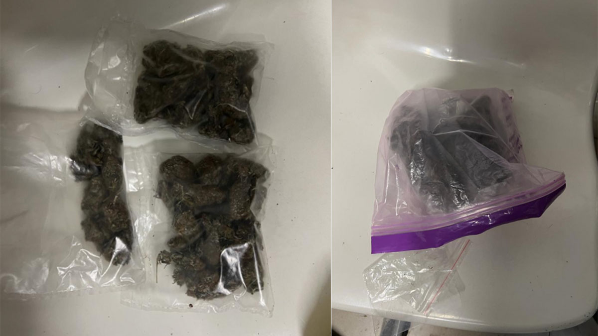 Более 200 граммов марихуаны изъято у мужчины в центре Москвы