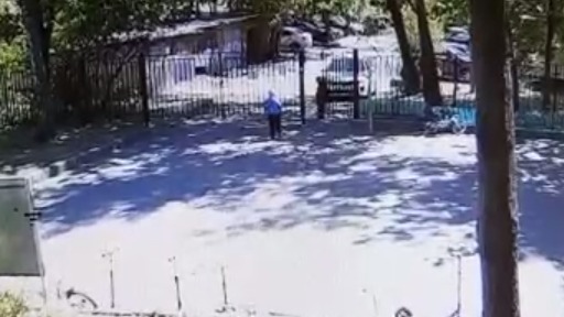 Появилось видео побега детей из детского сада на севере Москвы