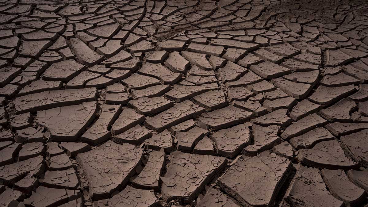 Politico: Европу ожидают засуха и конфликты из-за доступа к водным ресурсам