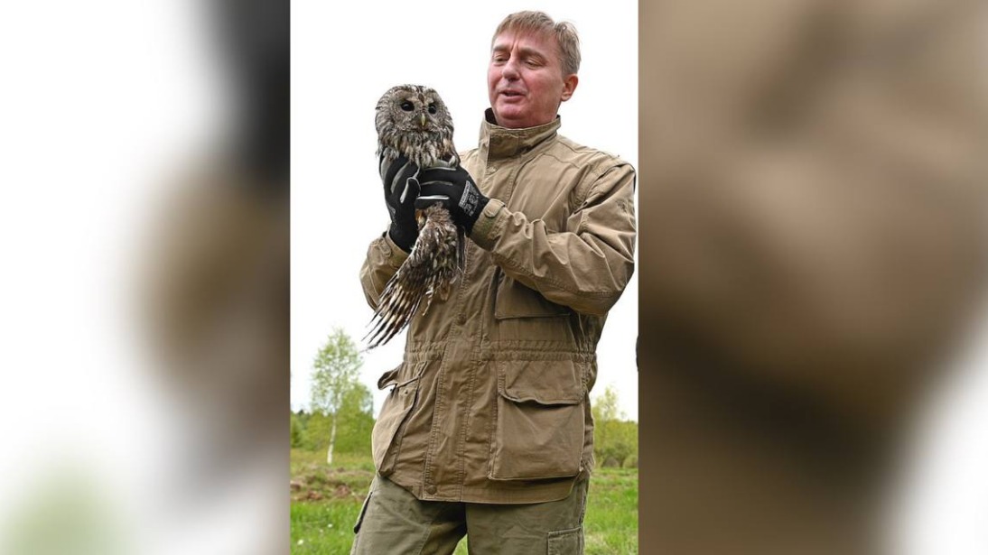 Глава природоохранного ведомства столицы Антон Кульбачевский выпускает на волю серую неясыть