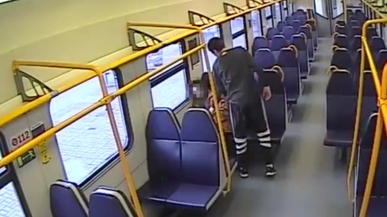 Злоумышленник украл телефон у спящего пассажира электрички Москва — Нара