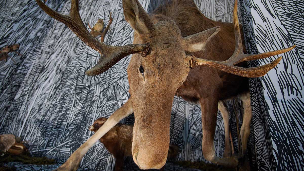 Куда сходить в Москве на выходных с 1 по 3 мая 2026 года