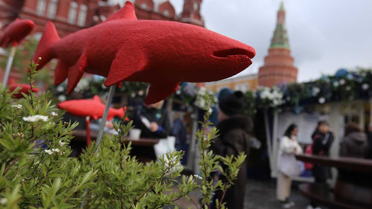 Жителям столицы рассказали о программе фестиваля «Рыбная неделя в Москве»