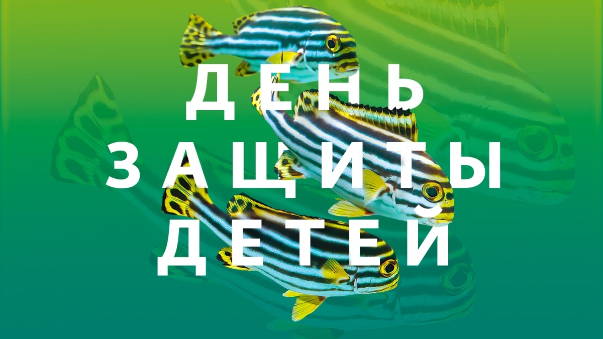 Крокус Сити Океанариум запускает благотворительную акцию ко Дню защиты детей