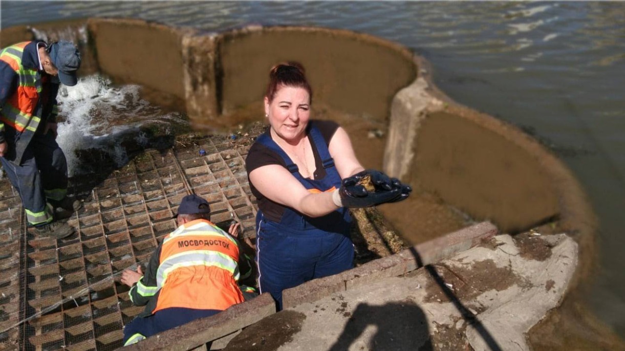 Специалисты «Мосводостока» спасли утят на Варшавском пруду