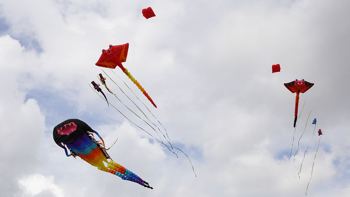 Фестиваль воздушных змеев «Пестрое небо» пройдет в «Царицыне»