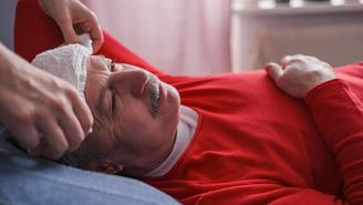 Мышиная лихорадка: что это за болезнь, симптомы, чем она опасна