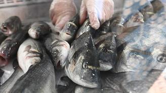 Что делать, если человек съел зараженную паразитами рыбу