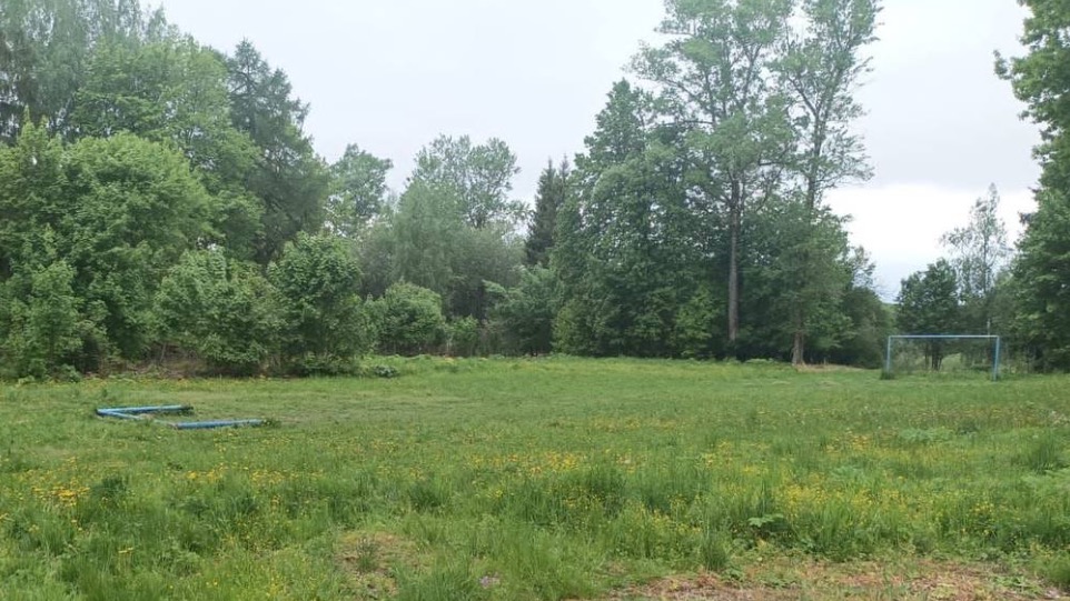 Футбольные ворота упали на десятилетнюю девочку в подмосковном Пушкине