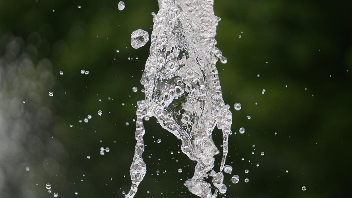 Специалисты «Мосэкомониторинга» проверят воду в ручье в поселке Первомайское