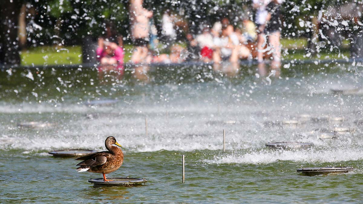 Какая погода будет в Москве в начале июня