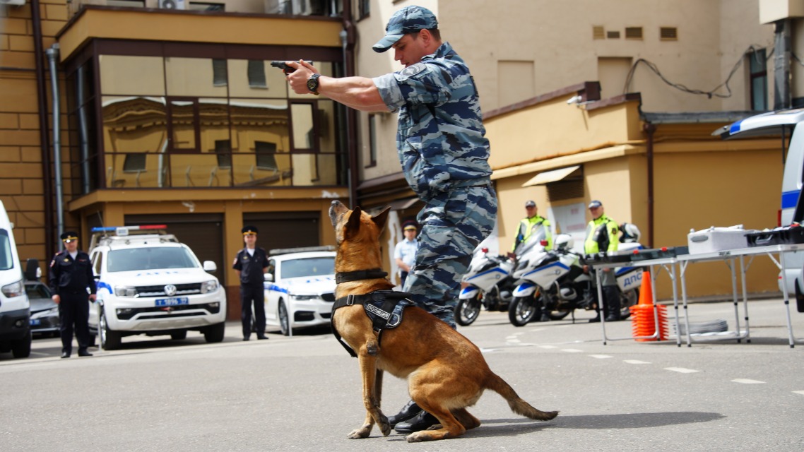 Кинолог Александр Толшмяков с овчаркой Байкал показывает слаженную работу человека с собакой