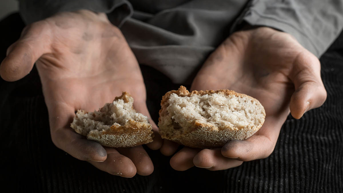 «Голод будет, его не избежать»: миру предрекли глобальный продовольственный кризис