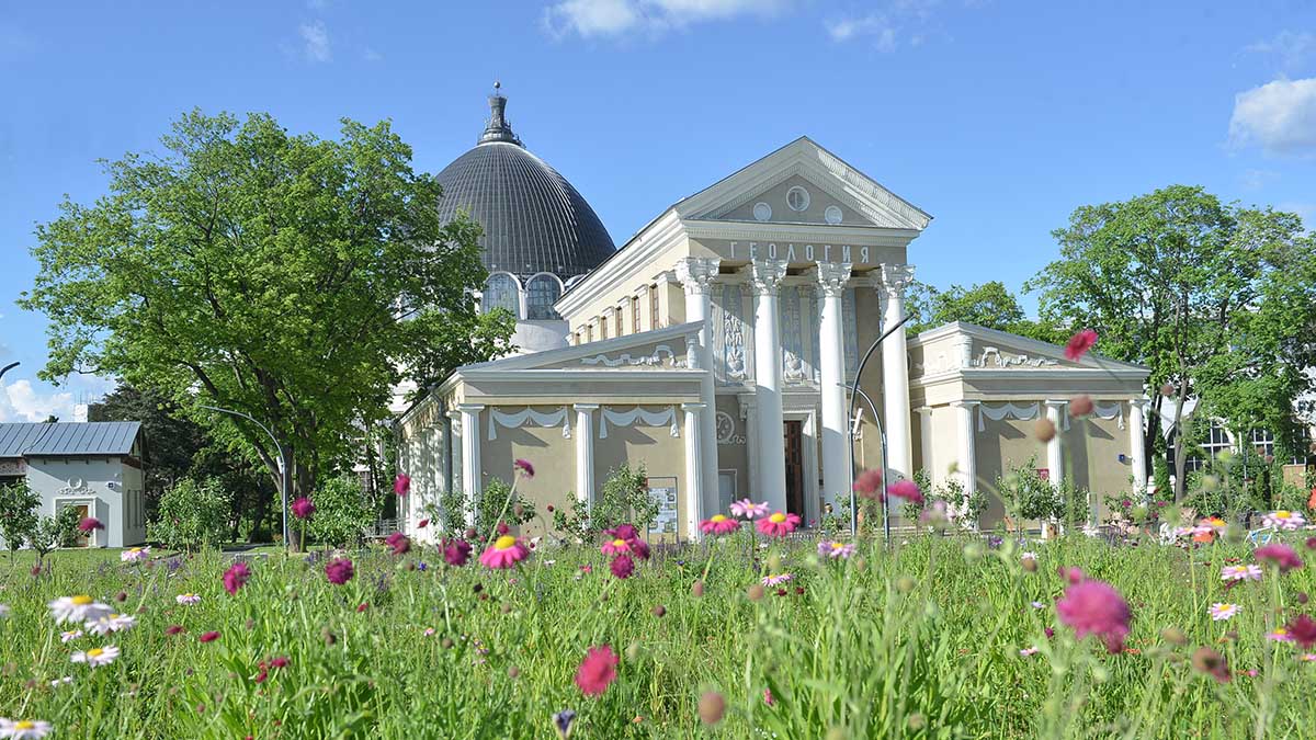 Более 500 тысяч цветов высадят на ВДНХ к июлю