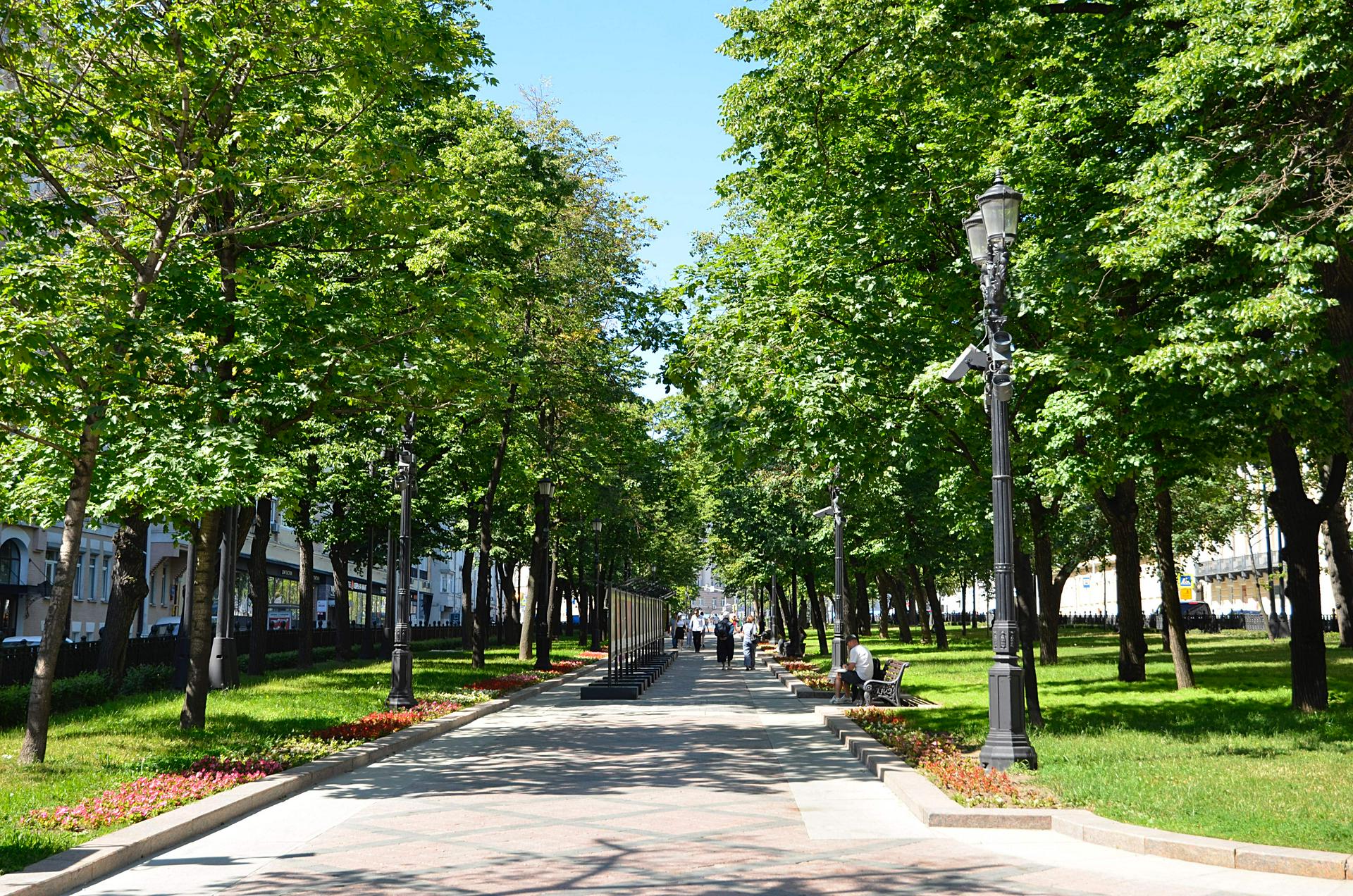 Четыре улицы появятся рядом с горнолыжным склоном в Ново-Переделкине