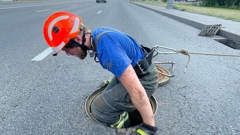 Упавших в коллектор утят спасли в Северном Бутове