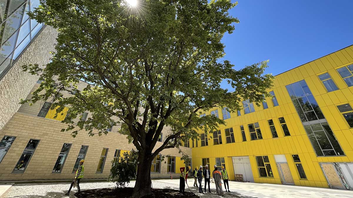 Девочку из Тюмени не хотели пускать в школу из-за хиджаба