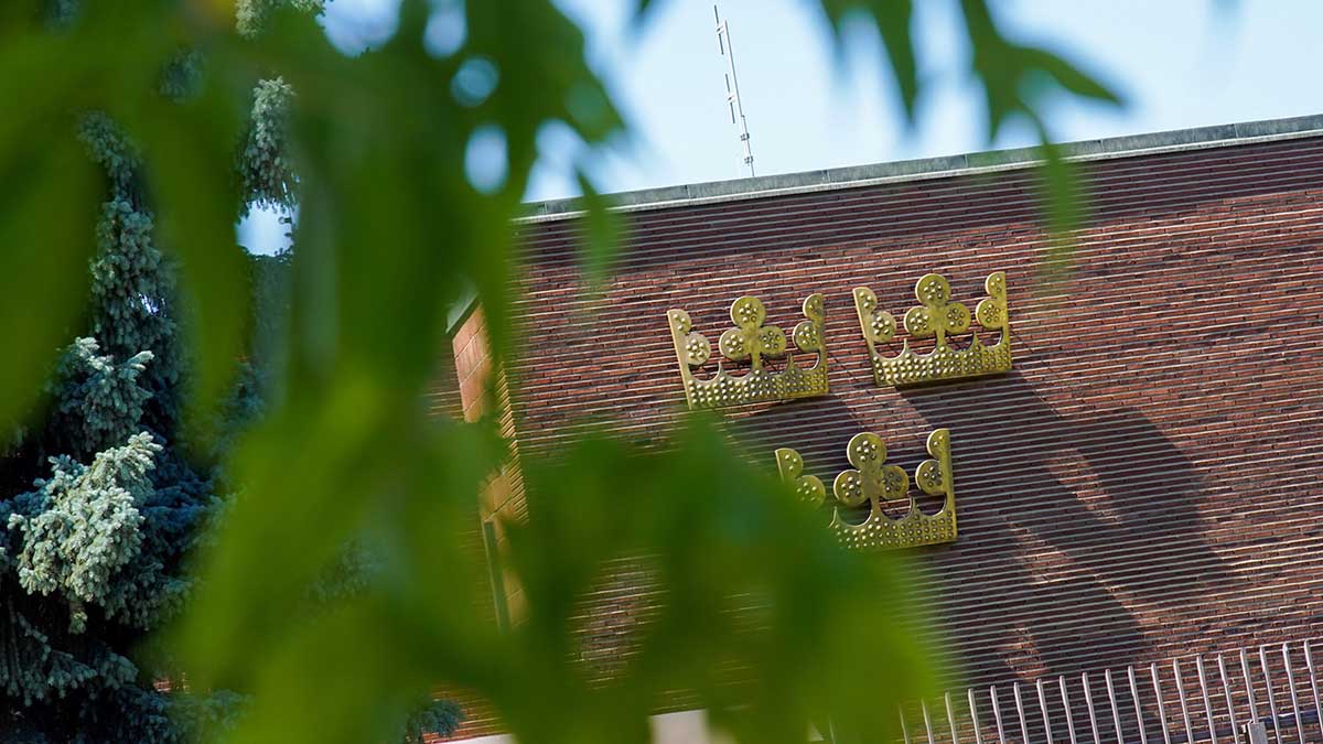 Канада, Чехия, Швеция и Южная Корея предупредили о риске терактов в РФ