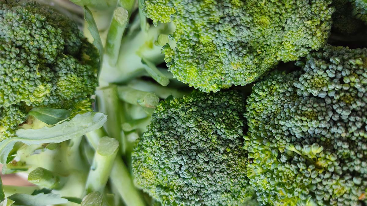 Нутрициолог Семирядов перечислил продукты для защиты от рака