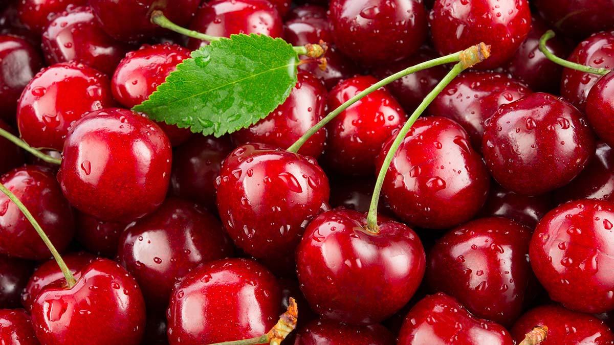 Москвичи назвали свою любимую летнюю ягоду