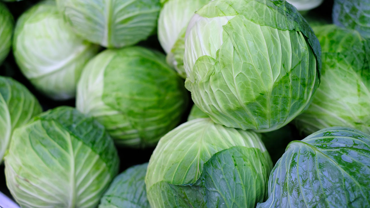 Гинеколог рассказала, какие продукты влияют на выработку эстрогенов