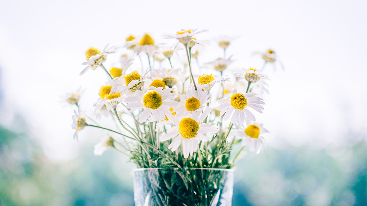 Основной инстинкт