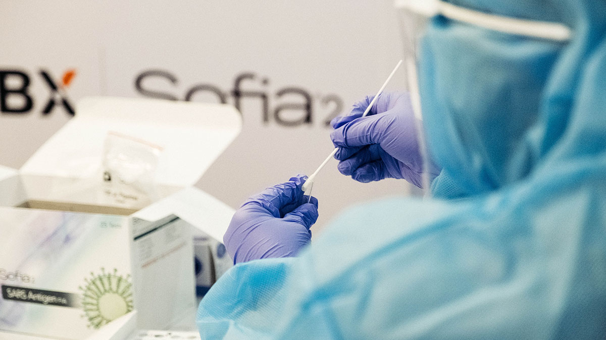 США объявили вспышку оспы обезьян чрезвычайной ситуацией