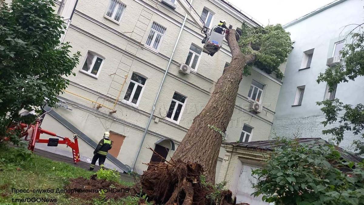 Дерево упало на жилой дом в центре Москвы